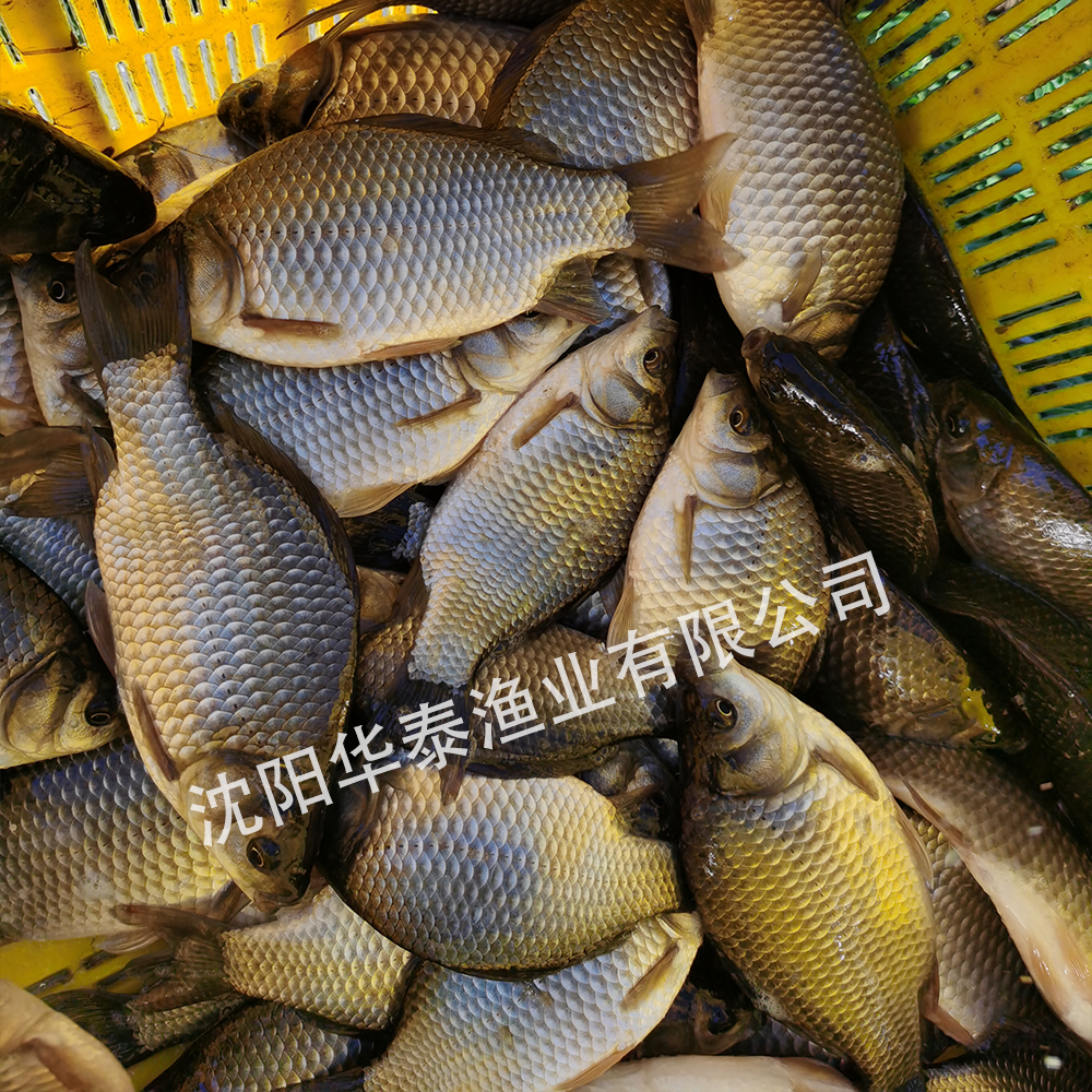 &#112;&#112;&#30005;&#23376;&#40;&#20013;&#22269;&#21306;&#41;&#23448;&#26041;&#32593;&#31449;
