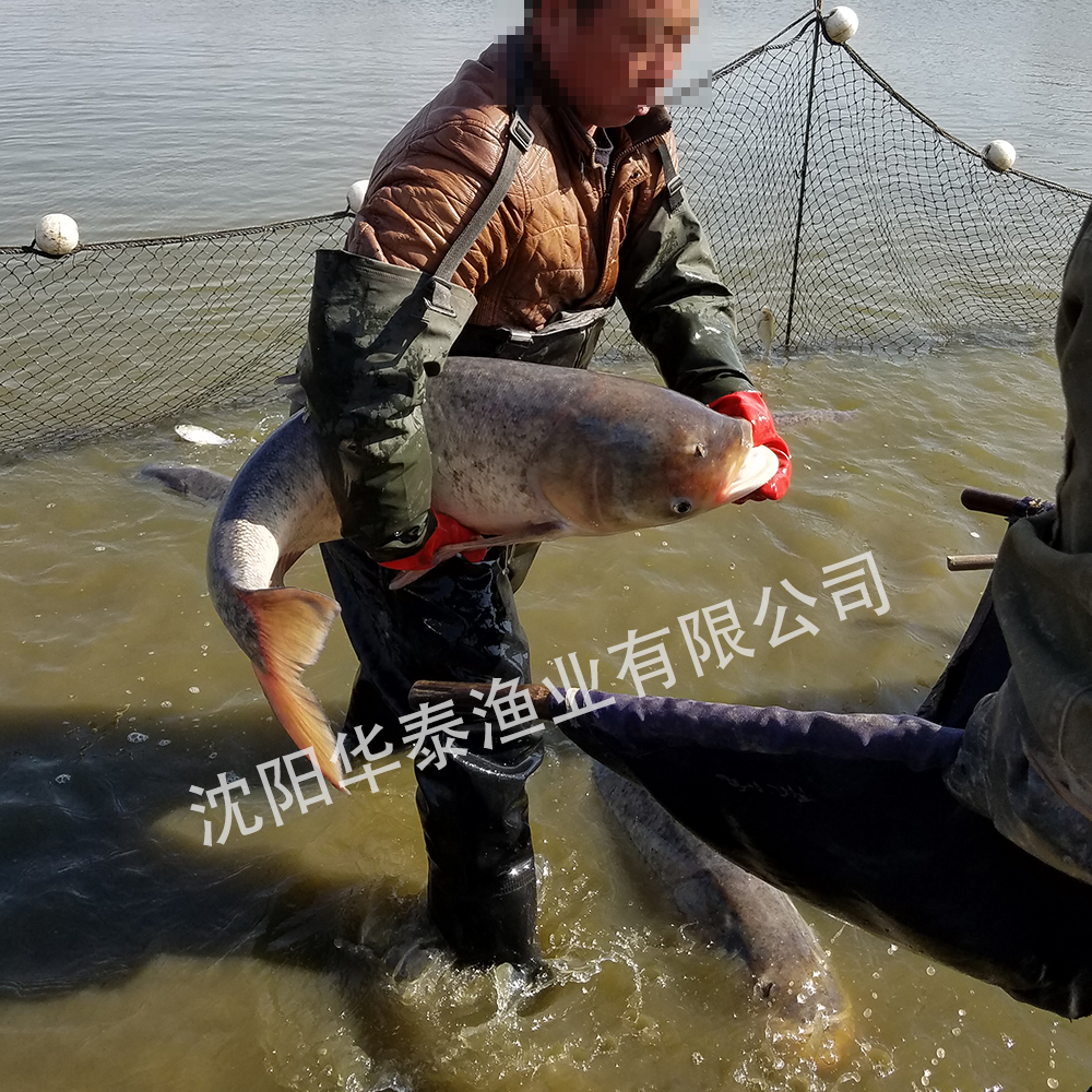 &#112;&#112;&#30005;&#23376;&#40;&#20013;&#22269;&#21306;&#41;&#23448;&#26041;&#32593;&#31449;