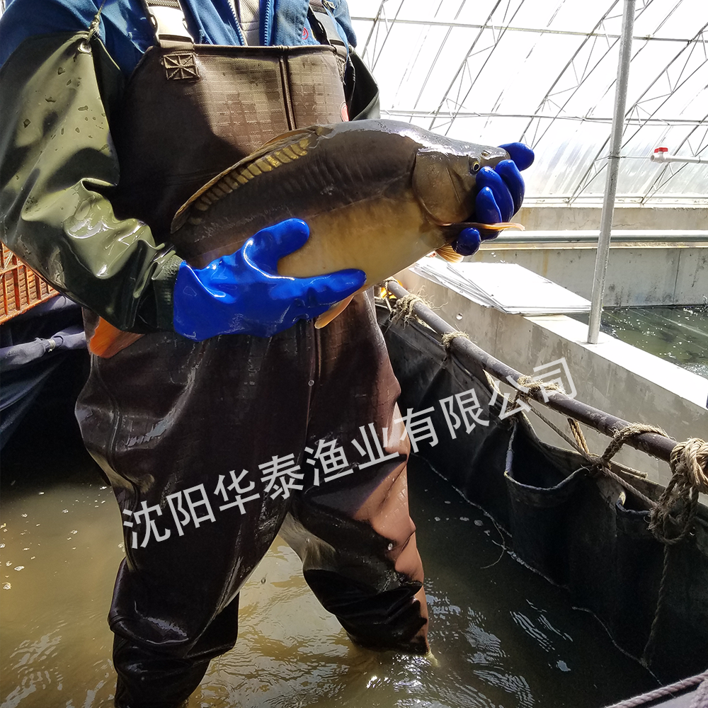 &#112;&#112;&#30005;&#23376;&#40;&#20013;&#22269;&#21306;&#41;&#23448;&#26041;&#32593;&#31449;