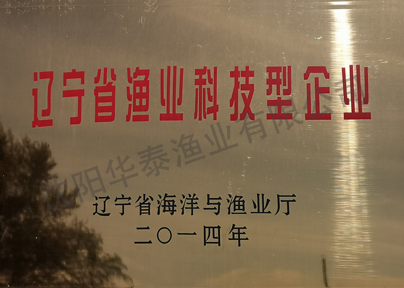 &#112;&#112;&#30005;&#23376;&#40;&#20013;&#22269;&#21306;&#41;&#23448;&#26041;&#32593;&#31449;